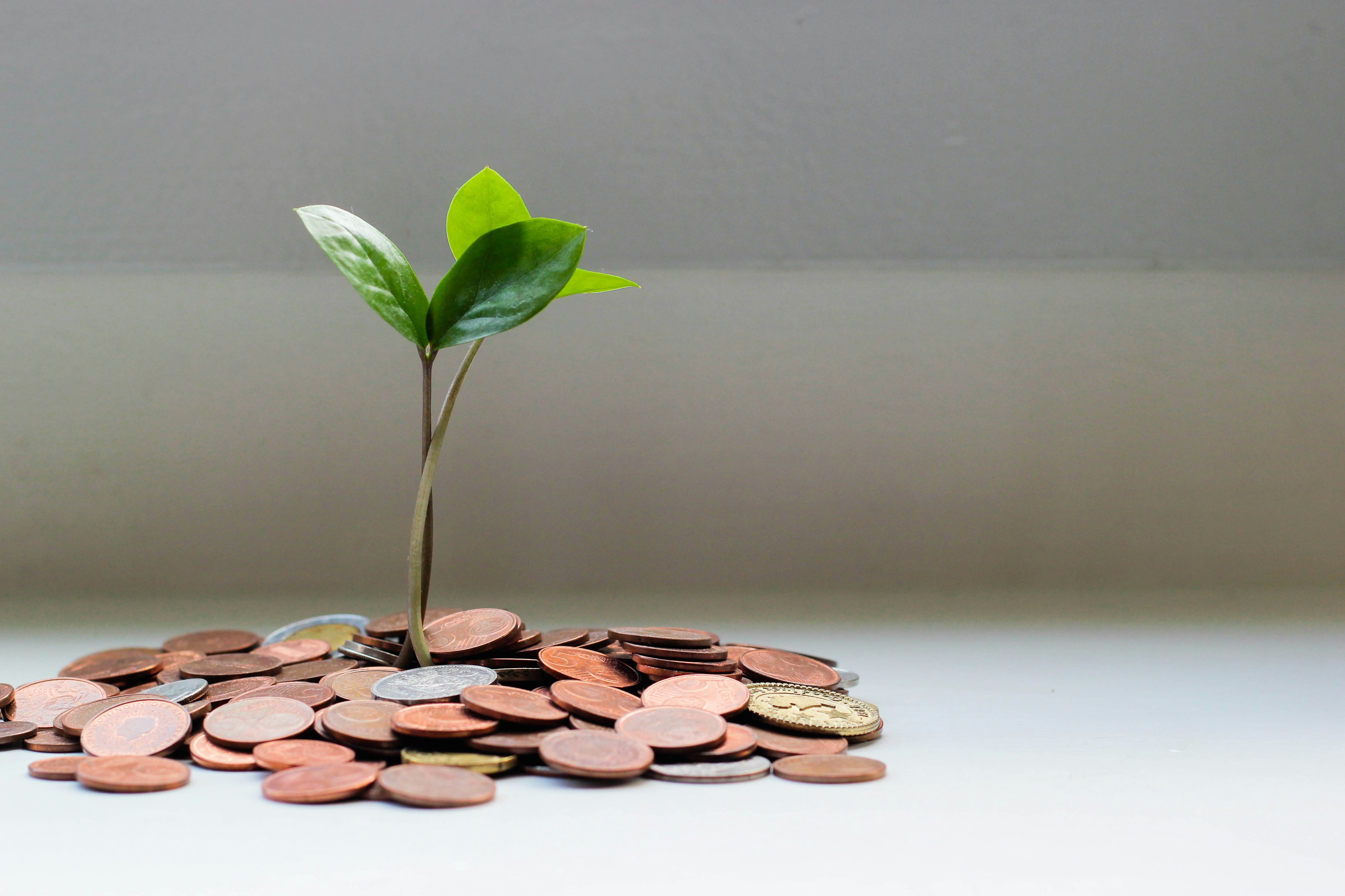 Public consultation response: Simplifying the EU Sustainable Finance Disclosure Regulation (SFDR) without enabling greenwashing+Image